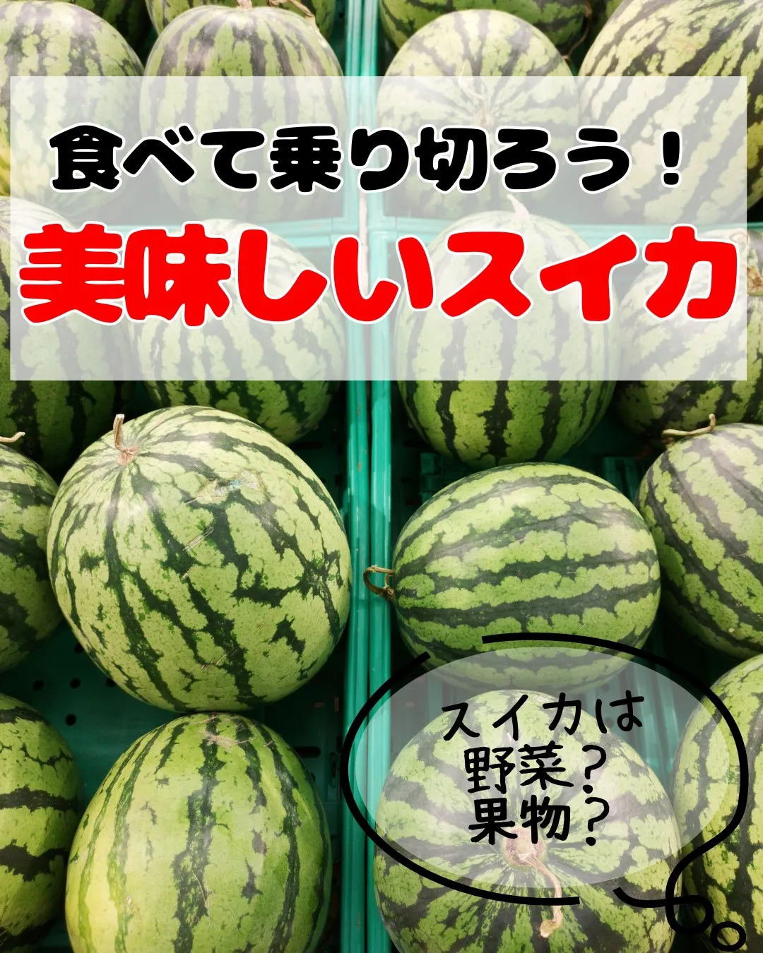 🍉